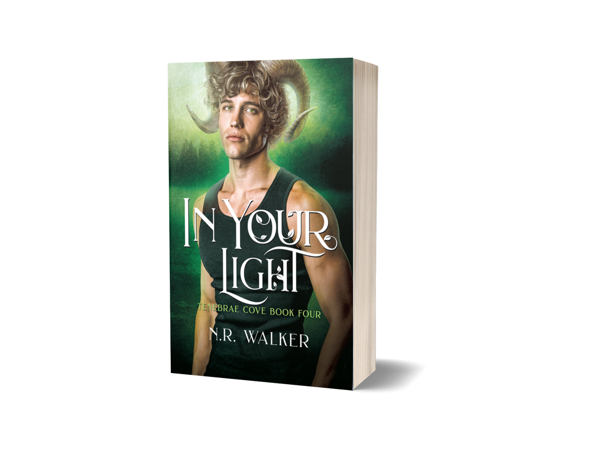 In Your Light paperback