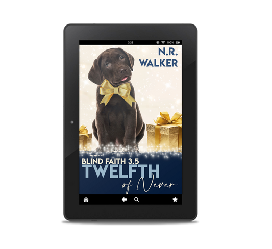 The Twelfth of Never ebook (Blind Faith 3.5)