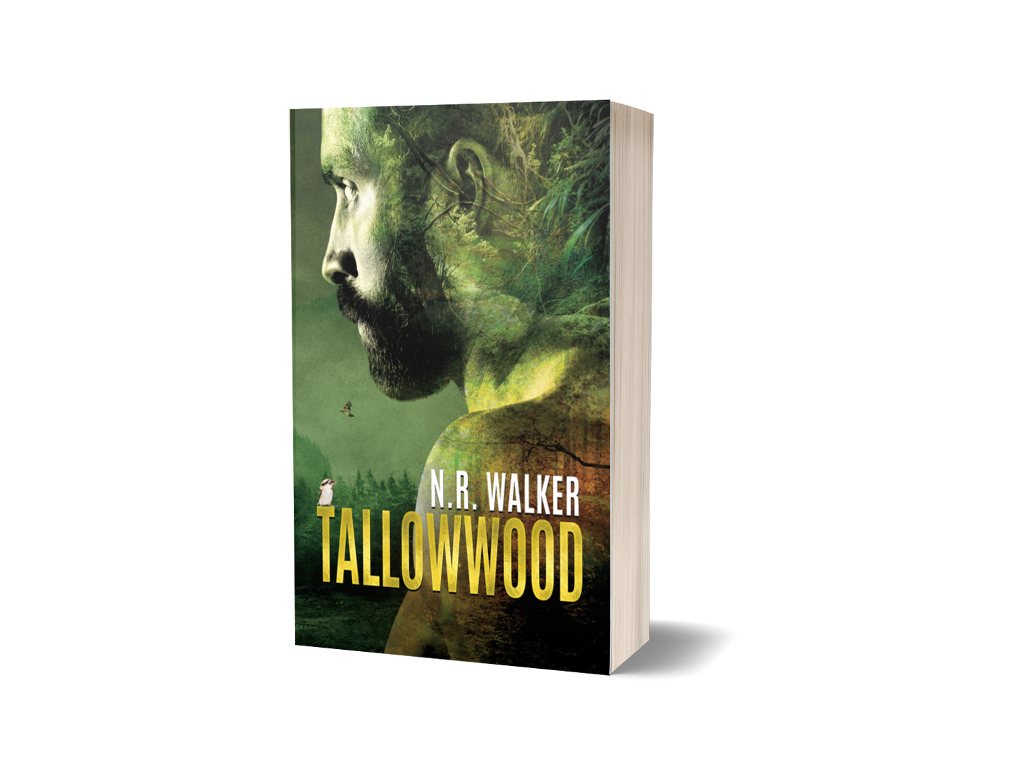 Tallowwood Paperback