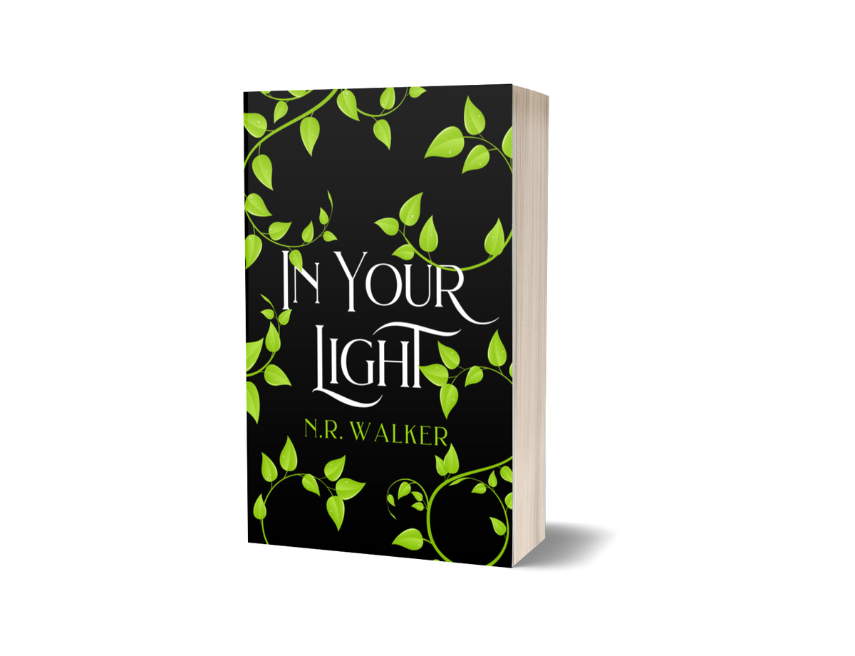 In Your Light Alternative paperback