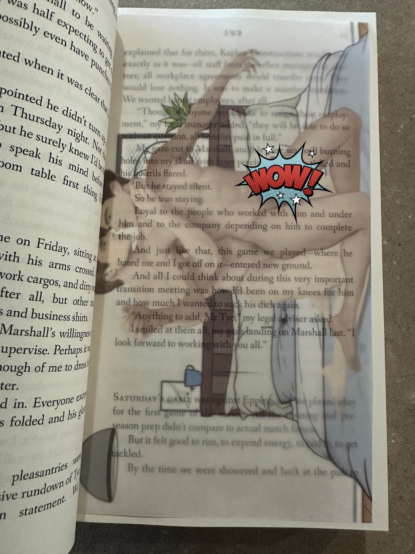 Vellum overlays - EWB NSFW x 2