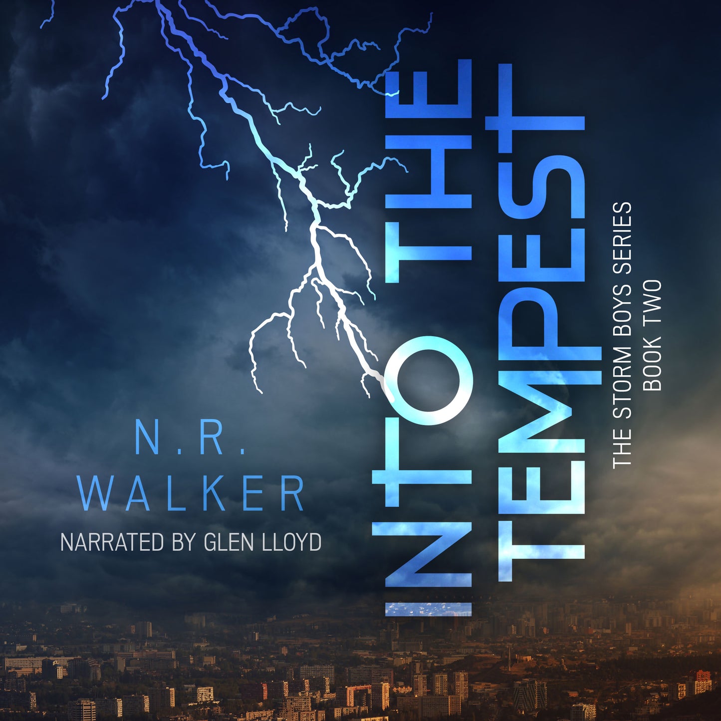 Into the Tempest (Storm Boys Series Book Two) AUDIO